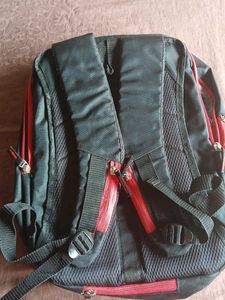 Backpack/ laptop bag