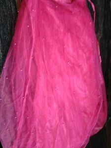 Pink Embellished Dupatta