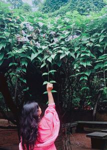 Pink Embroidered Kurta Set