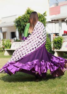 Lehenga Choli Set