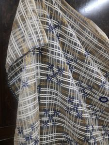 Party Wear Dupatta 2.5mtr