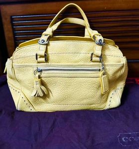 Coach Handbag (Authentic)