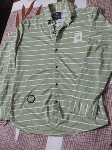 Striped Casual Shirt