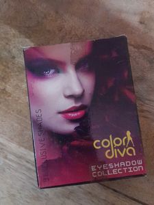 Brand New Eyeshadow Pallete With Beautiful Colours