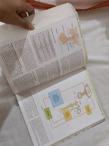 Medical Physiology Textbook