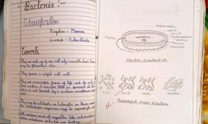 Biology Practical File Class 11 Cbse Board Chgs School
