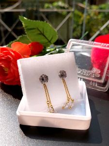 Two In One Elegant Earring