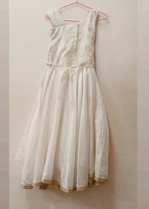 Elegant Ethnic Gown