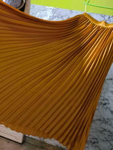 Brand New Sasafras Golden Skirt