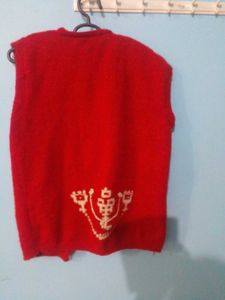 Two Sweaters  In Good condition