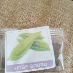 Different Gourds Seeds