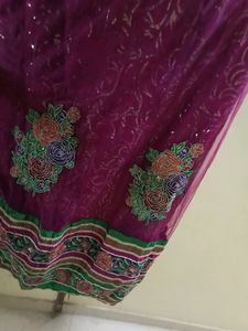 Beautiful Lehnga