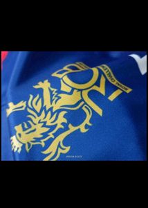 Rcb Player Jersey