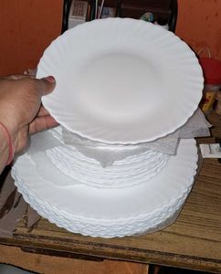Plate 10pc 11inch and 16pc 7.5inch