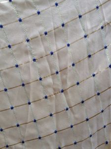 Elegant Ethnic Skirt