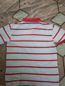 Red &amp; White Striped Chaps Duke Stardust
