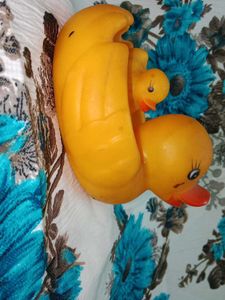 Cute Ducks