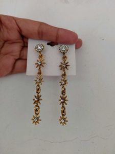 Pretty pair of Golden Earrings