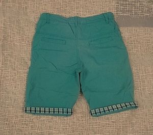 Sea Green Shorts
