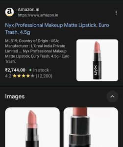 NYX Matte Lipstick (euro trash )
