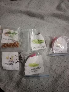 5 Vegatble Seeds