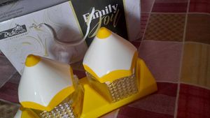 namkeen biscuit container stylish