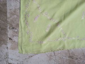 Beautiful Saree