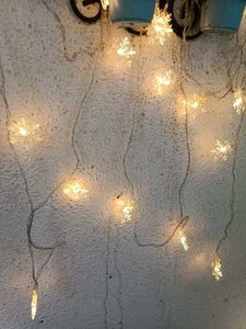 🎅🏻🎄 Christmas ☃️❄️Light Lovely
