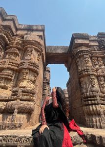 Elegant Red Saree blouse not included
