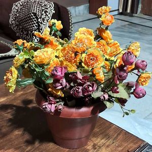 Flowers with Pot
