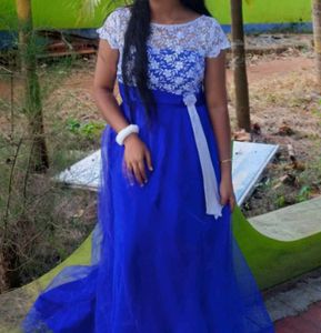 Elegant Blue Neted Gown
