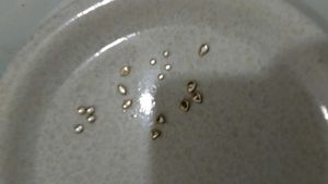 Kundan Stones