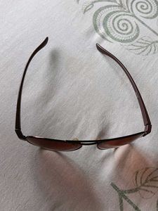 Brown Sunglasses