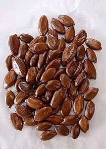 Borsali Seeds