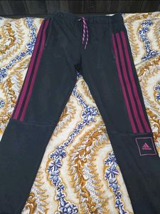Combo Of Joggers