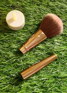 Broken Powder Brush✨️