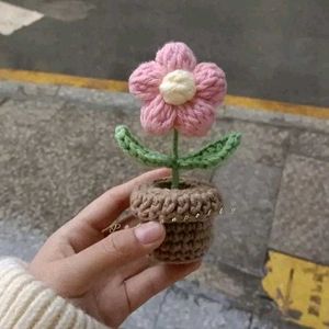 Flower Pot