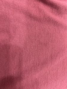 CORAL Pink Colour Full Sleeve Crop Top , Boat Neck