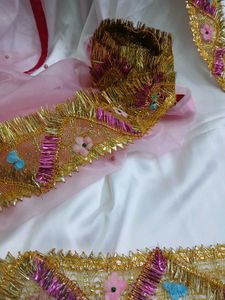 Beautiful Organza Dupatta Suit Set
