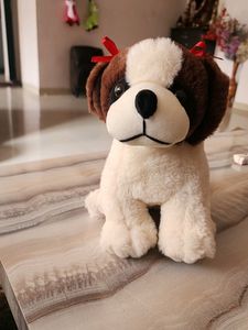 Dogi