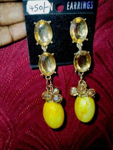 Earrings New Not Used No Damage