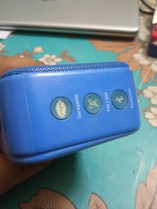 Saregama Carvan Mini
