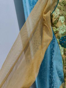 Elegant Ethnic Gown
