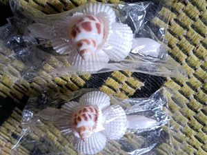 Seashell Hair Clips