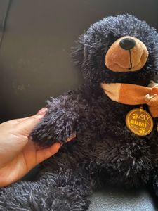 Black Teddy with muffler