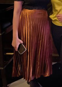 Pleated Bronze Skirt