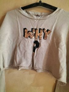 Beige Crop Sweatshirt