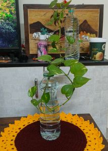 Crochet Sunflower Thalposh/Daily/Placemat