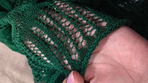 Green Netted Top