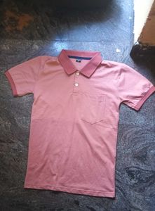 Cotton T Shirt Plain